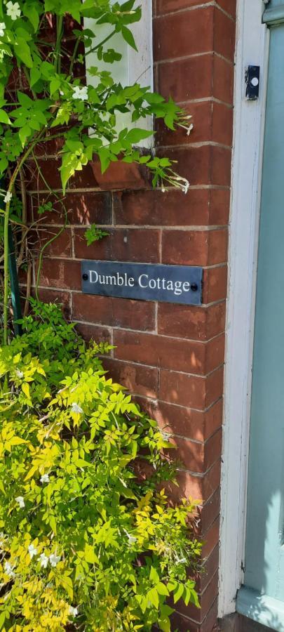 Dumble Cottage Майнхед Экстерьер фото